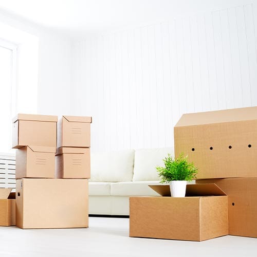 Move Out Cleaning